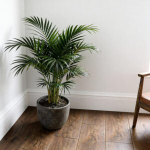 LCL-08 wizualizacja 3