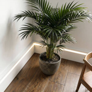 LCL-15 Wizualizacja 7