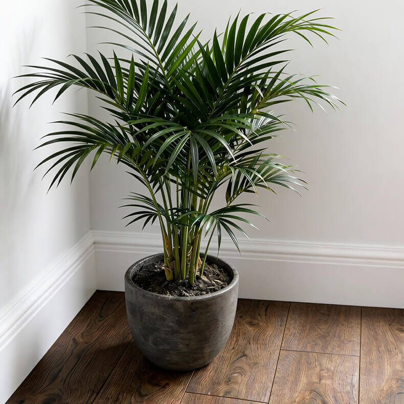 listwy-przypodlogowe-mobile